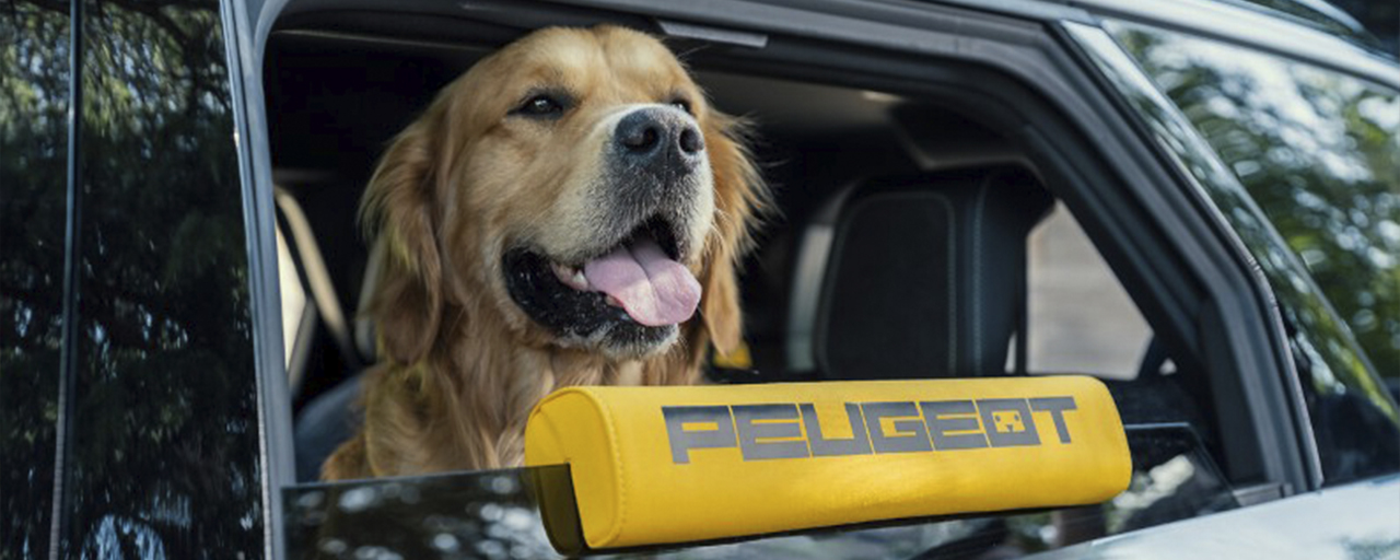 PEUGEOT'DAN KÖPEK DOSTU MOBİLİTE VİZYONU!