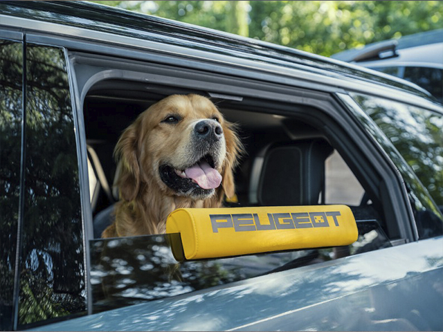 PEUGEOT'DAN KÖPEK DOSTU MOBİLİTE VİZYONU!